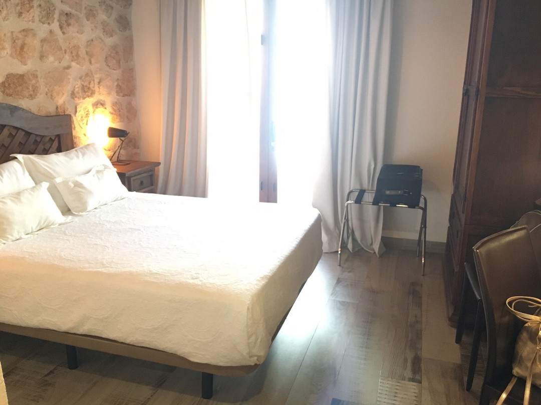 Hotel Palacio Conde del Alamo主图