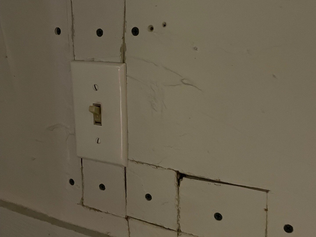 The Copper Swan主图