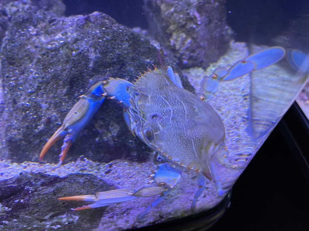 Public Aquarium and Tropicarium Belgrade-贝尔格莱德必去景点