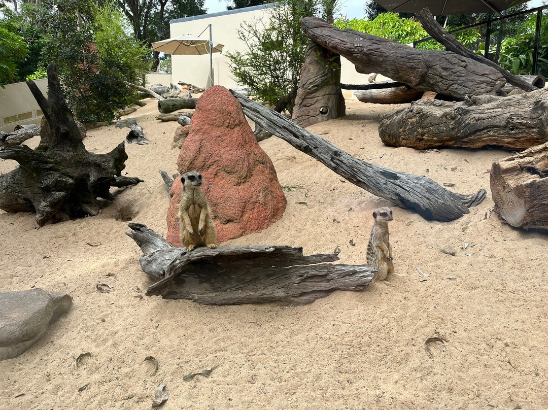 Rockhampton Zoo-罗克汉普顿必去景点