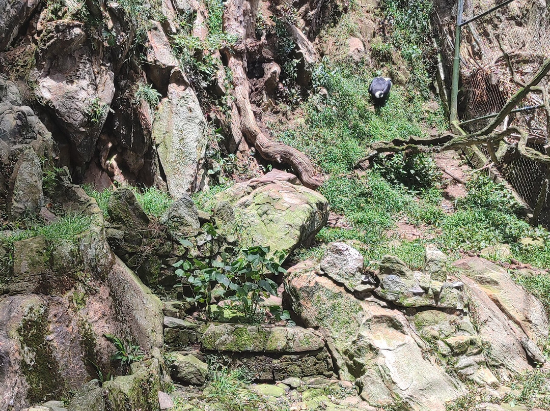 Chorros de Milla Zoo-梅里达市必去景点