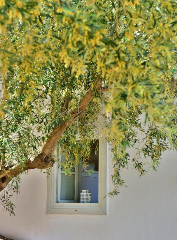 Douskos Beach House
