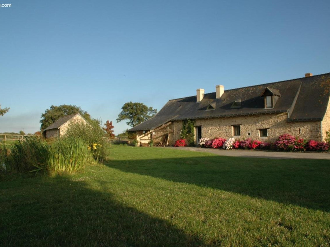 Le Grand Mainguet主图