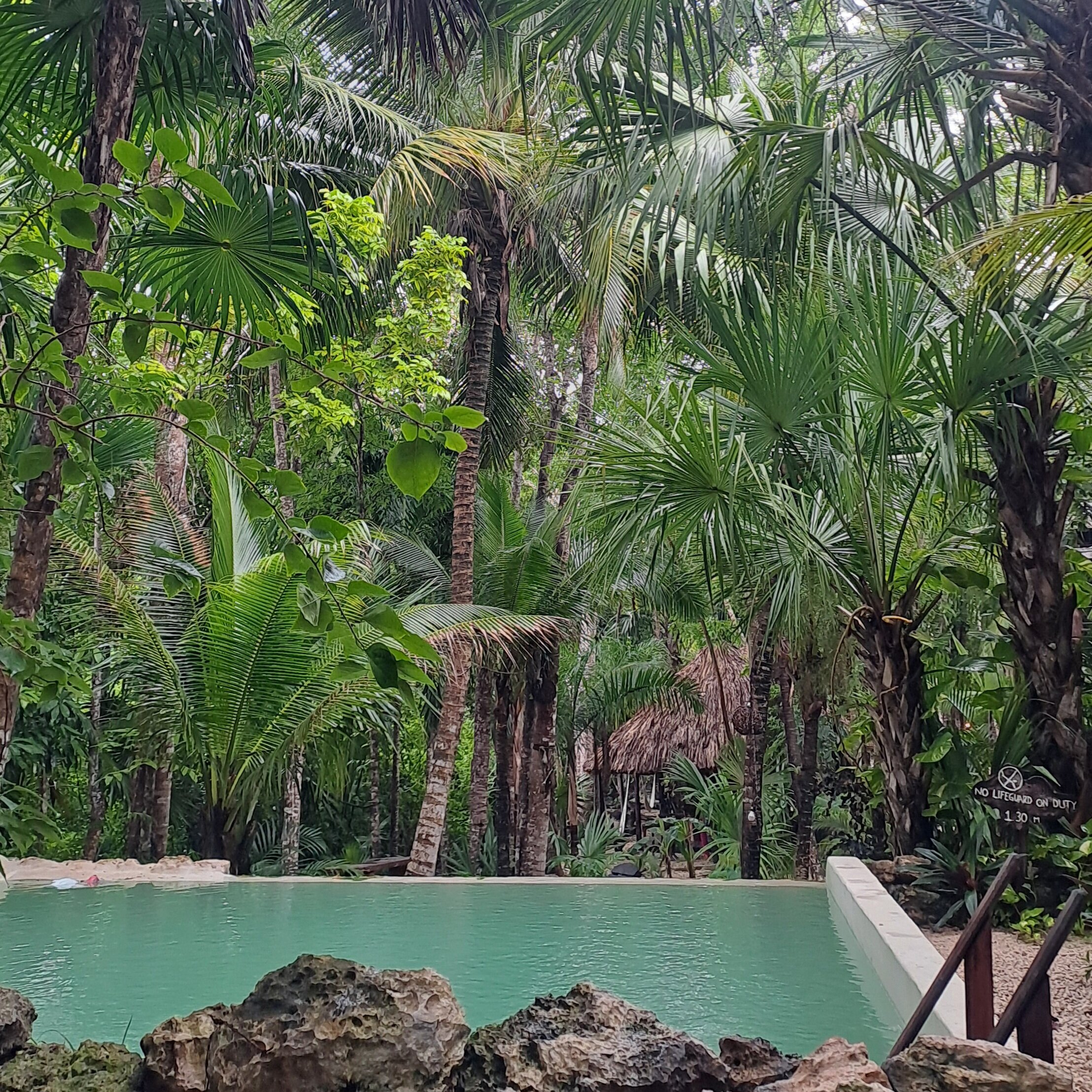 Hotel Buenavista Bacalar-泳池