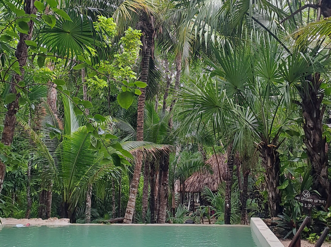 Hotel Buenavista Bacalar主图