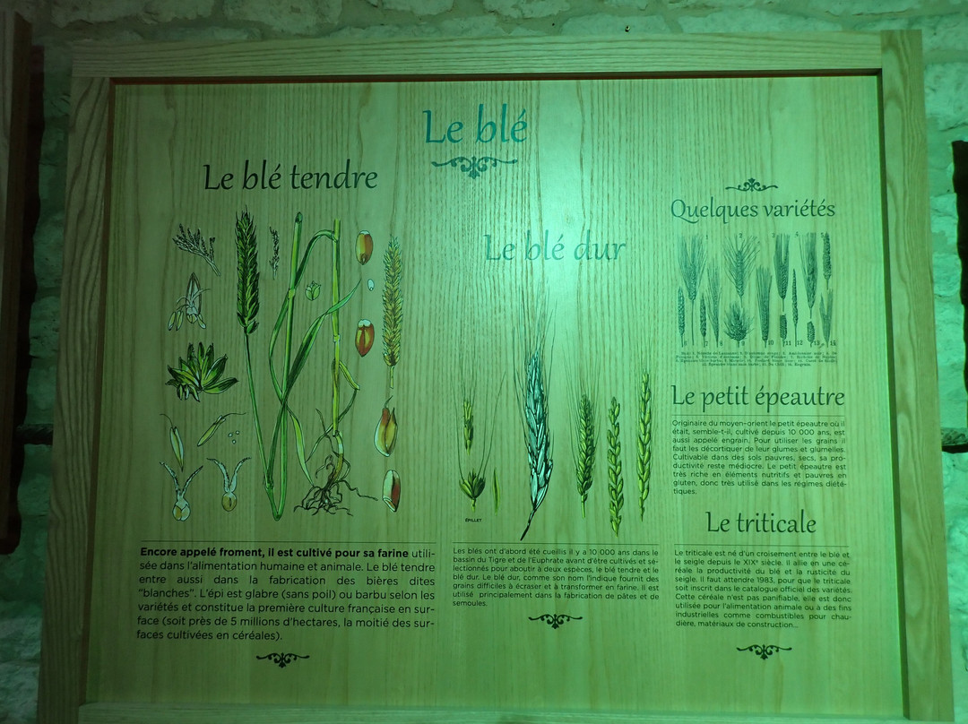 La Maison de la Meunerie景点图片