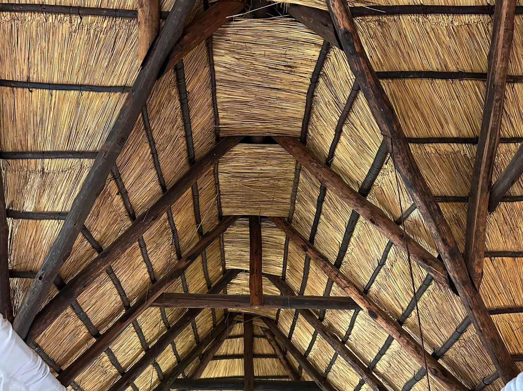 Africa On Foot Camp主图