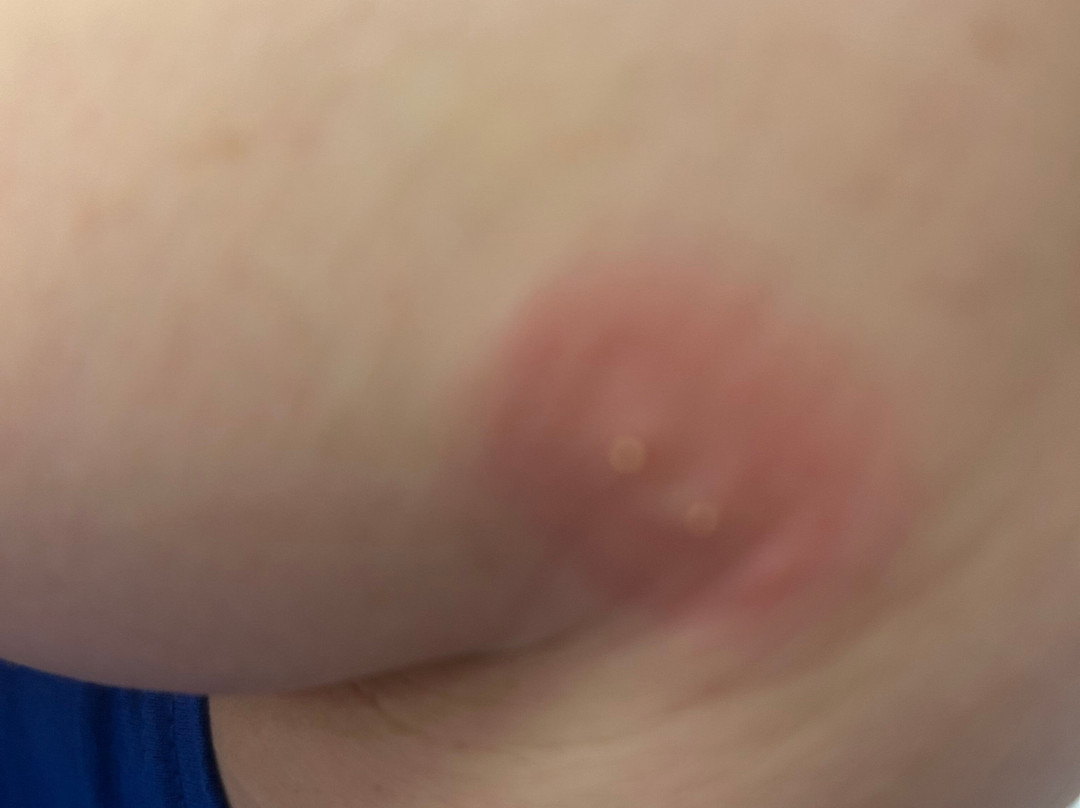 Best Western Plus Yadkin Valley Inn & Suites主图