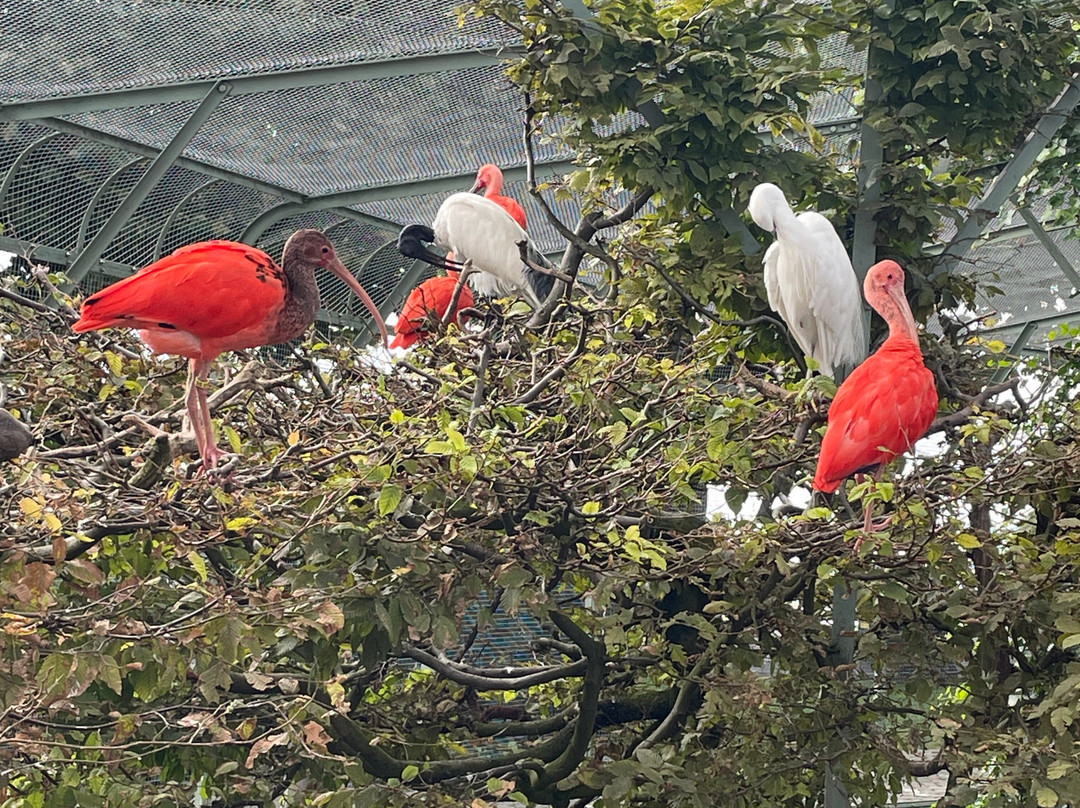 Ornithological Society of the City of Zug-楚格必去景点