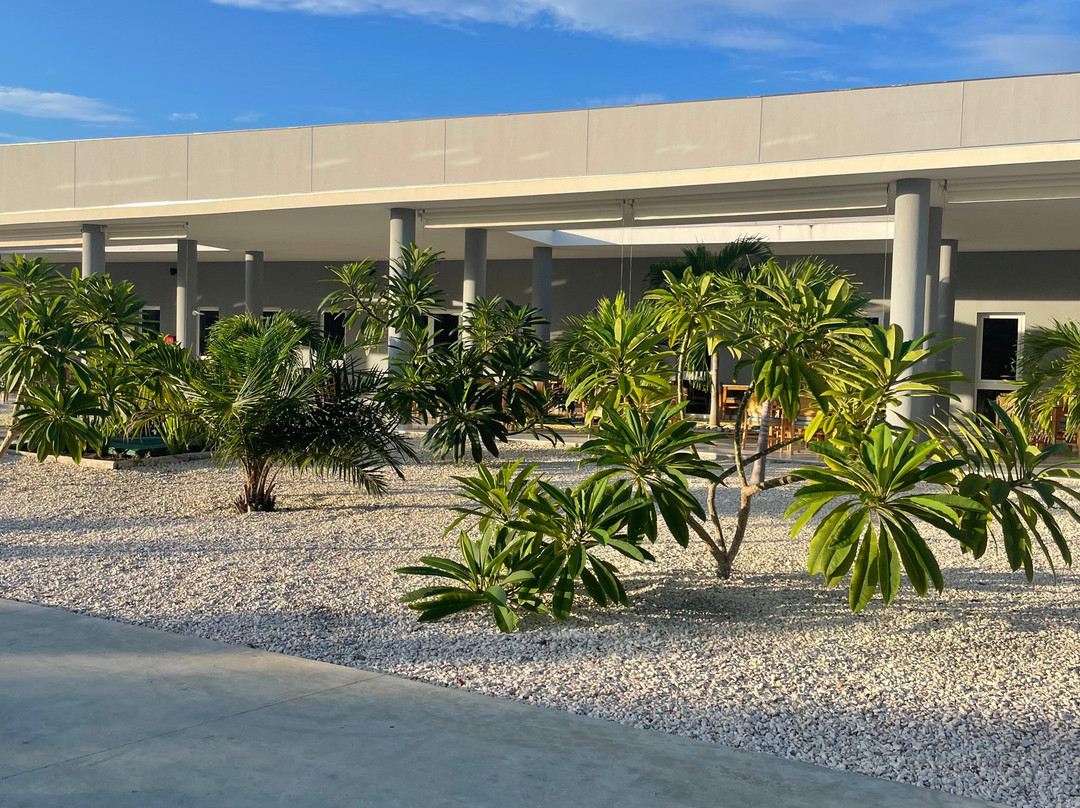 Vila Galé Cayo Paredón主图