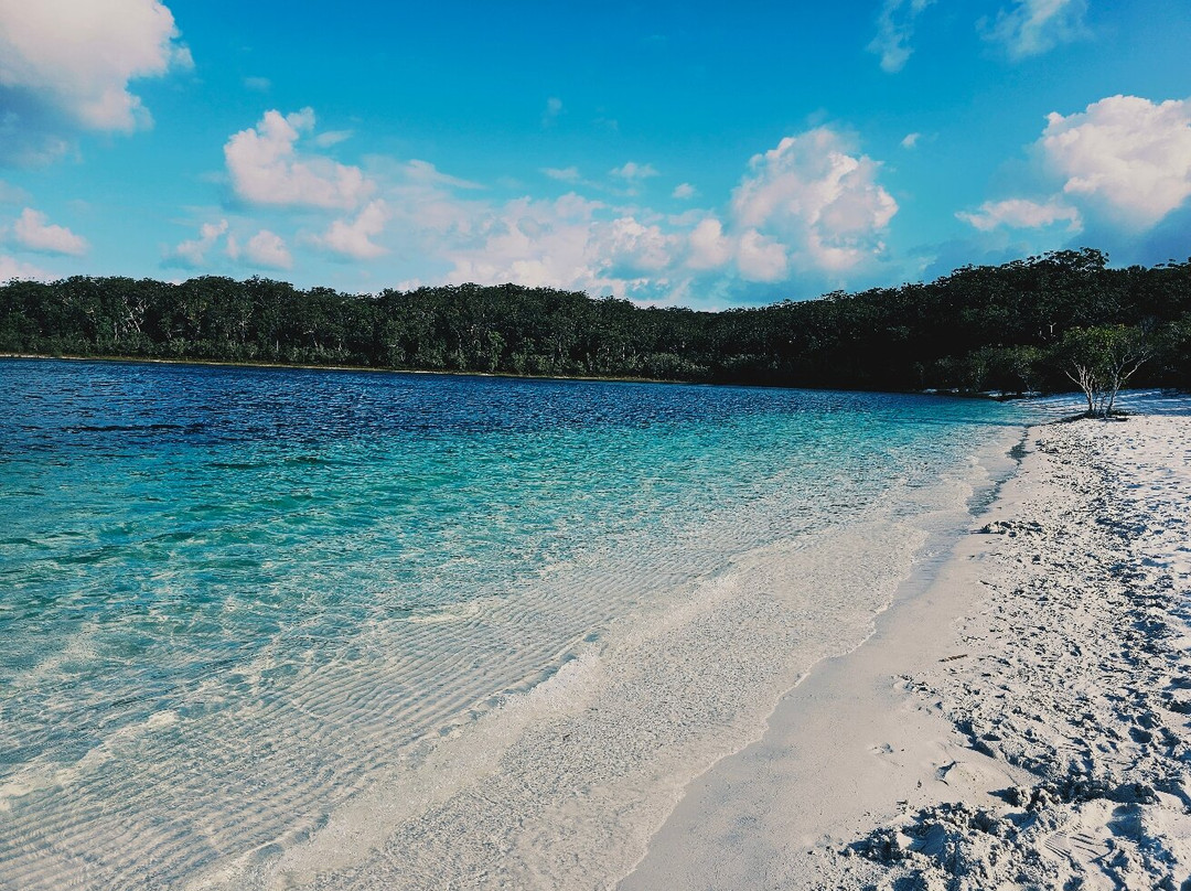 Fraser Experience Tours-弗雷泽岛必去景点