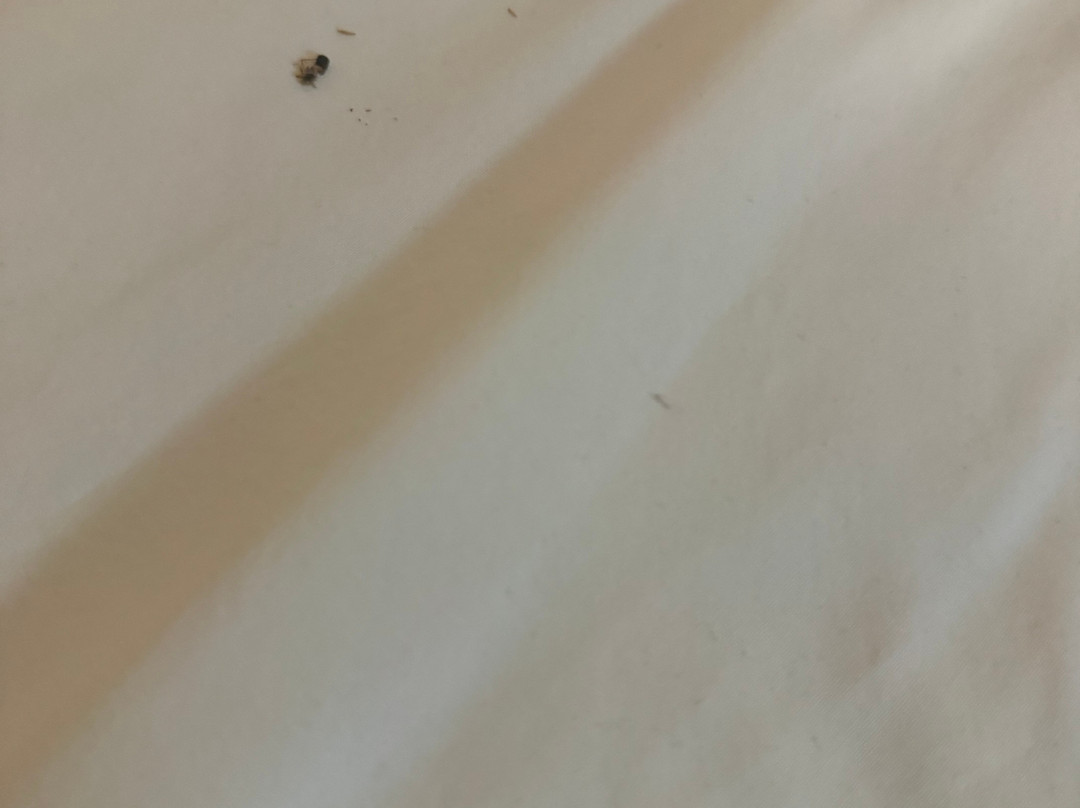 Kaniva Midway Motel主图