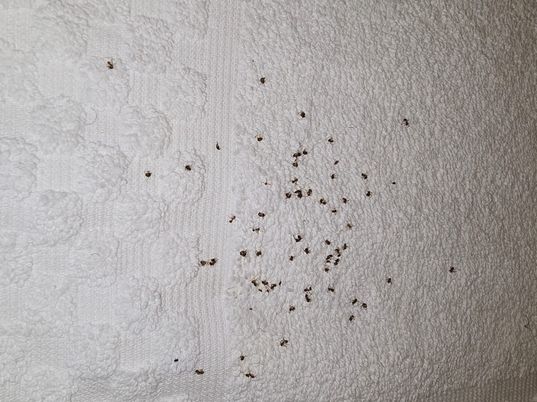 Residence Inn by Marriott Houston Sugar Land/Stafford主图