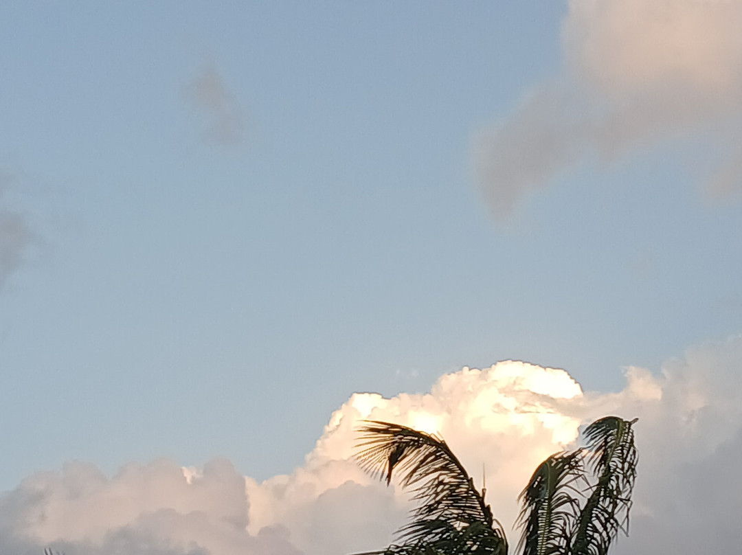 Velneshwar Beach景点图片