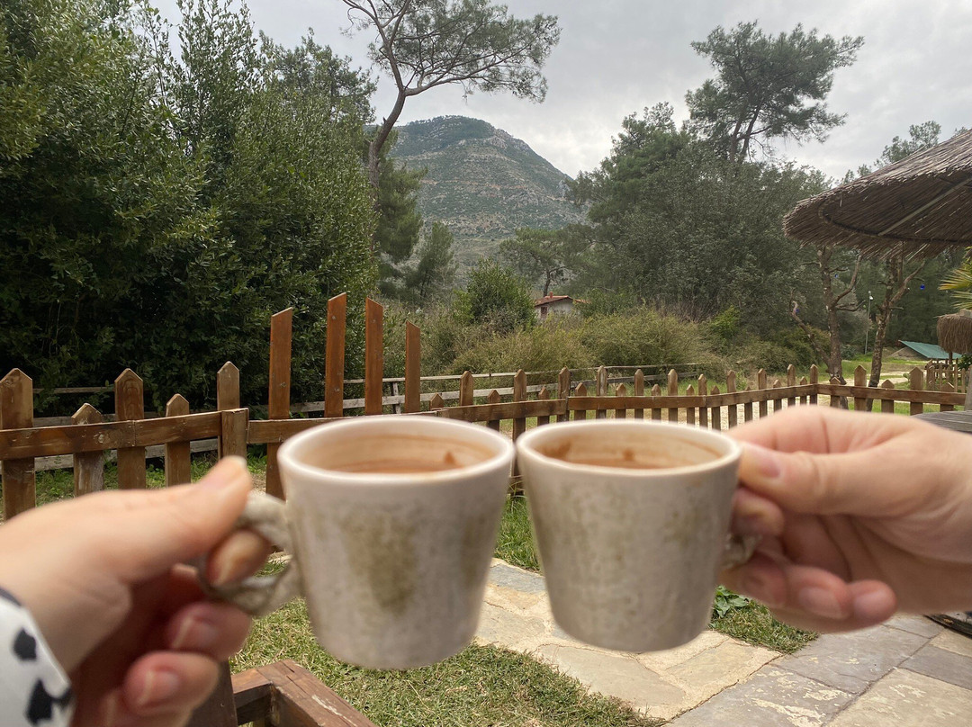 Hobbit Köyü