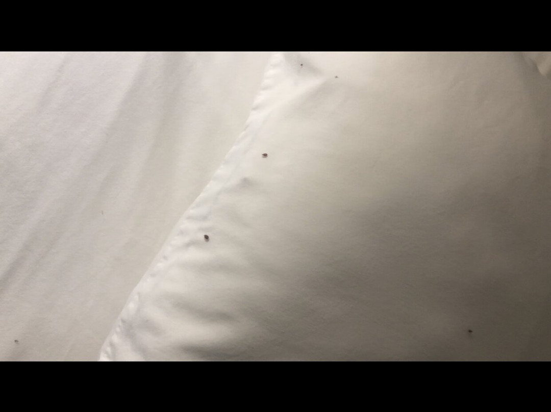 Days Inn & Suites by Wyndham Bonita Springs North Naples主图