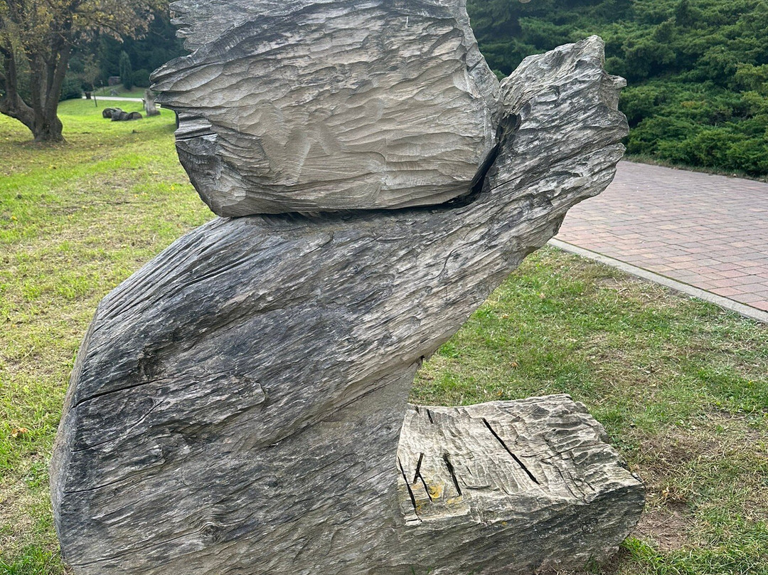 Botanical Garden景点图片