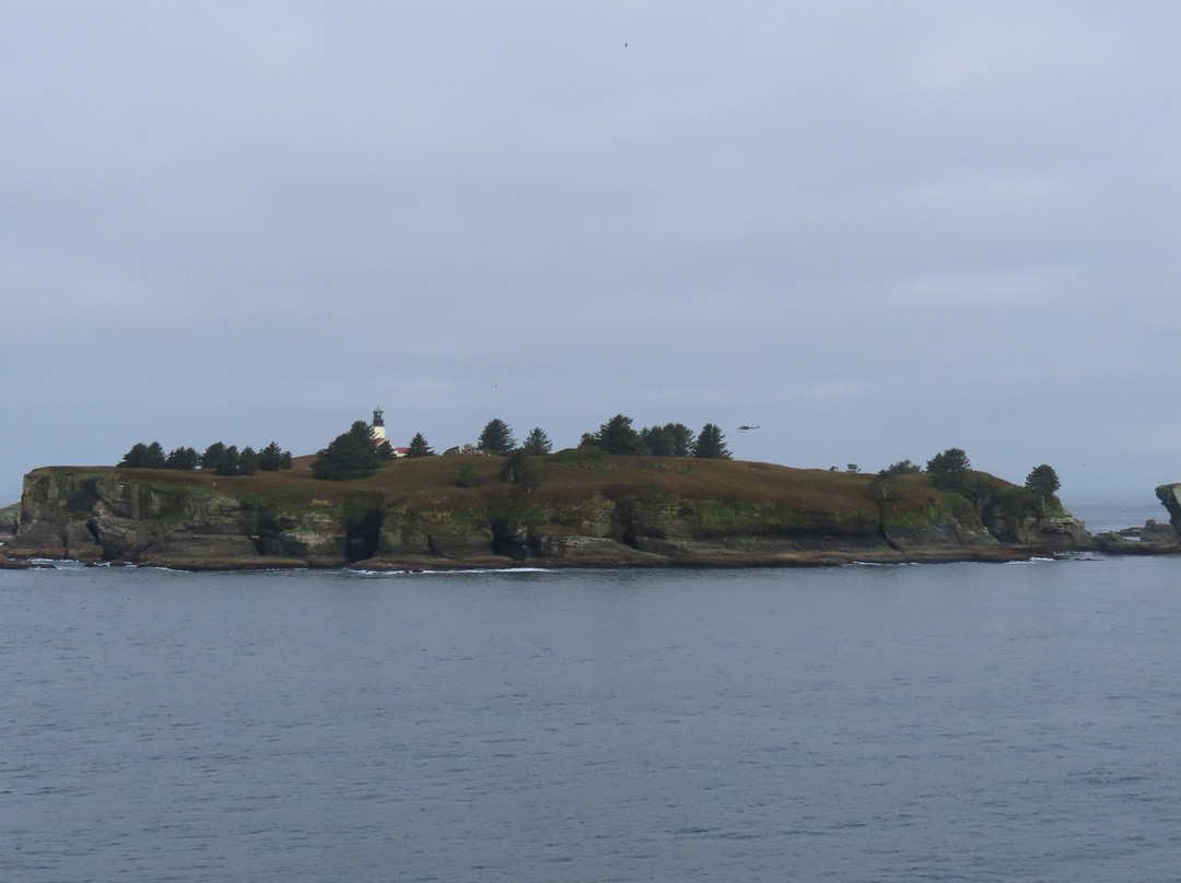 Cape Flattery景点图片