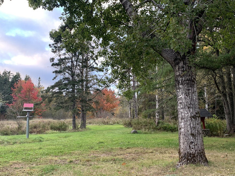 Innisfree Bed and Breakfast Hopewell Rock主图