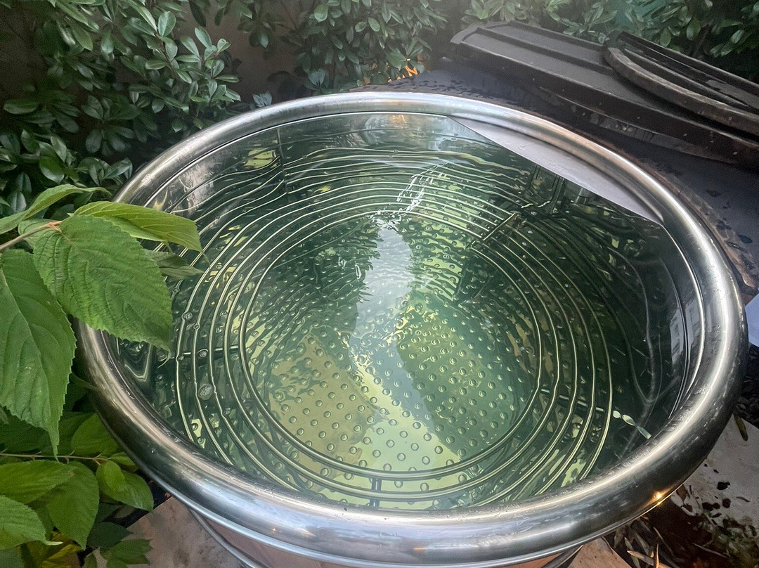 Escale Rochelaise主图