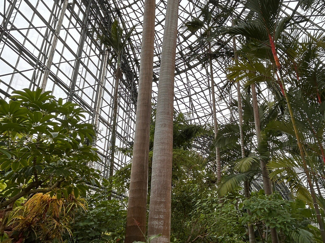 梦之岛热带植物室-江东区必去景点