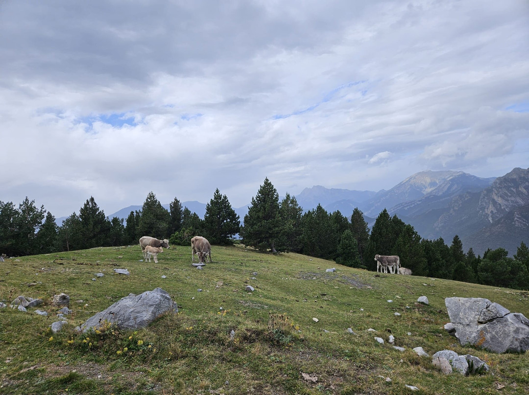 Parc Natural Del Cadí-moixeró景点图片