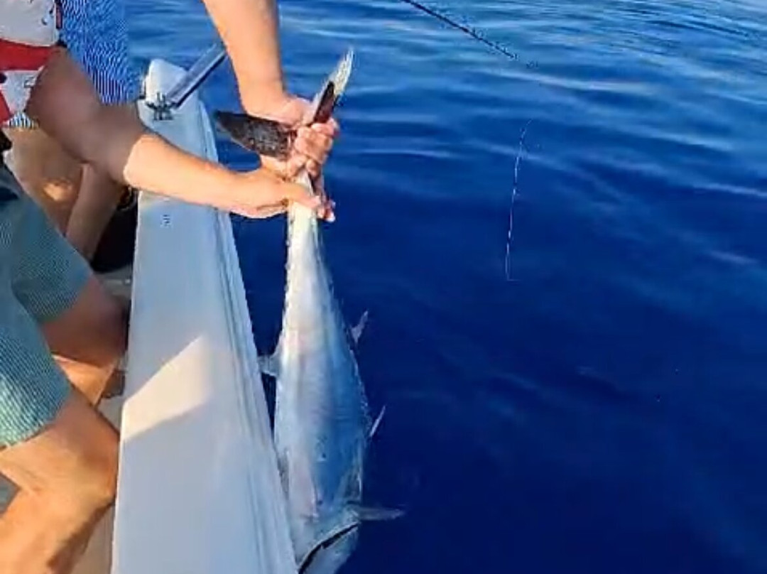 Mister Fish Fishing Charter Malta景点图片