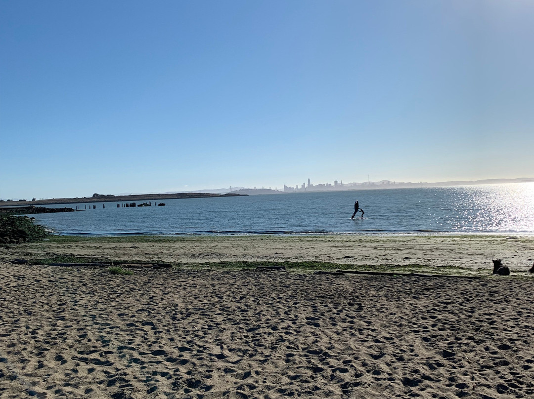 McLaughlin Eastshore State Park-埃默里维尔必去景点