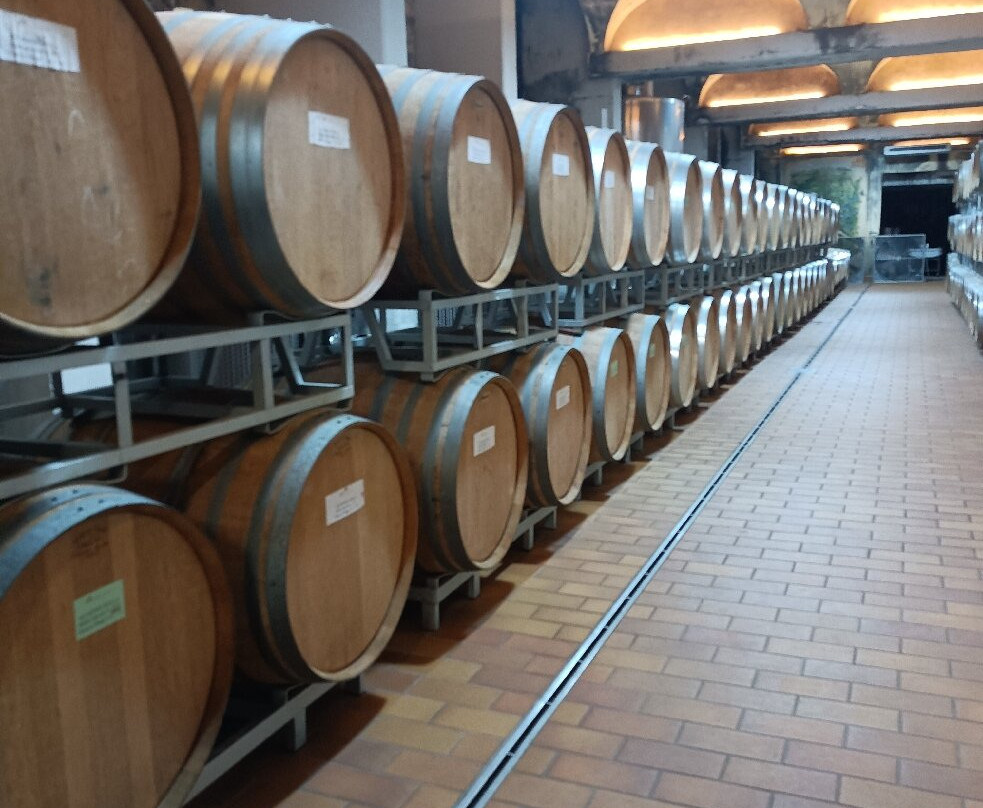 Azienda Vitivinicola Eligio Magri景点图片