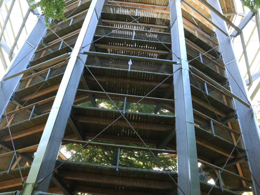 Baumwipfelpfad im Naturerbe Zentrum Rügen景点图片