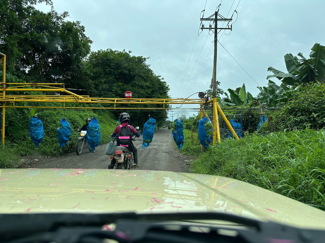 Wild Rider-阿拉辉拉必去景点