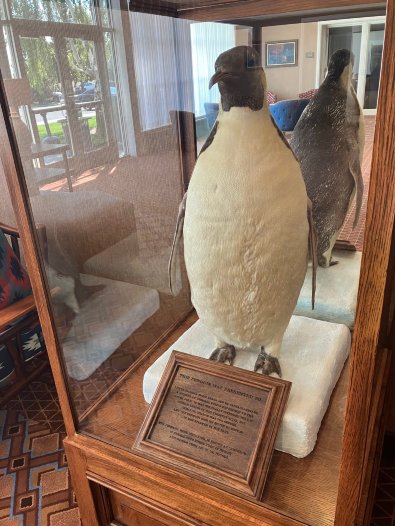 小美洲酒店-怀俄明-浴室