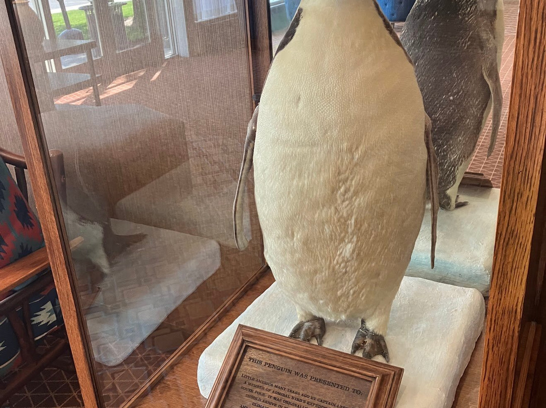 Little America Hotel - Wyoming主图