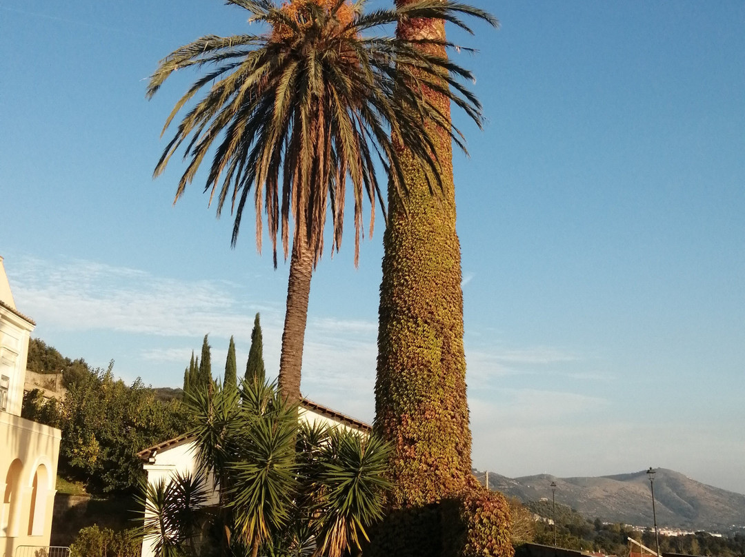 Complesso Monumentale Belvedere San Leucio景点图片