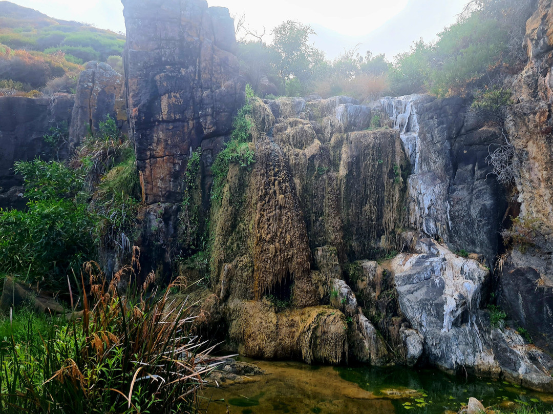 Quinninup Falls景点图片