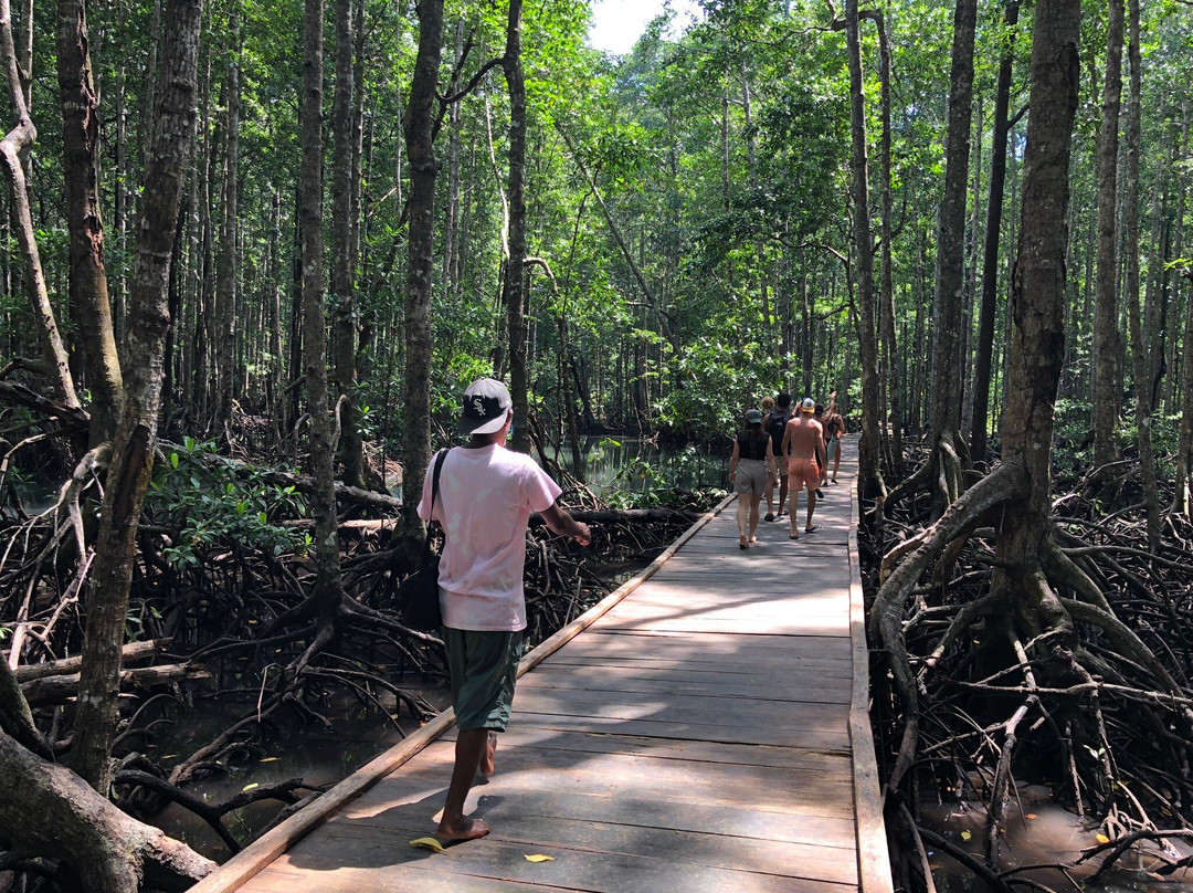 Batanta Waterfall-Batanta Island必去景点