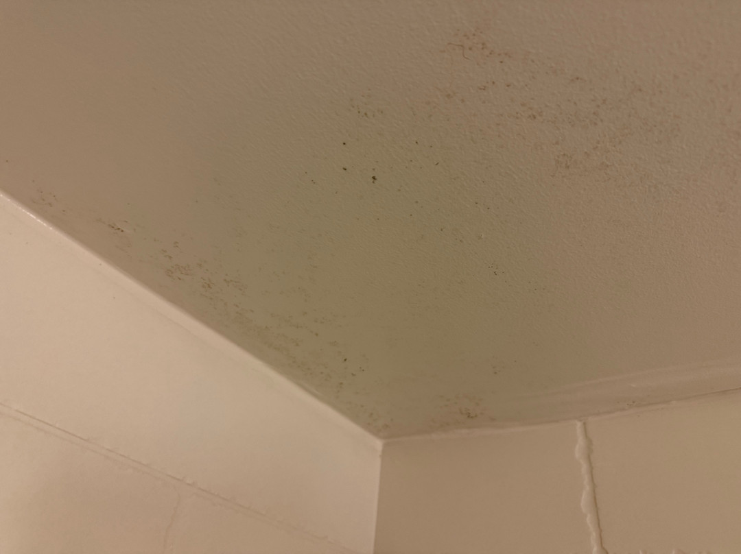 波赛尔/西雅图希尔顿花园酒店主图