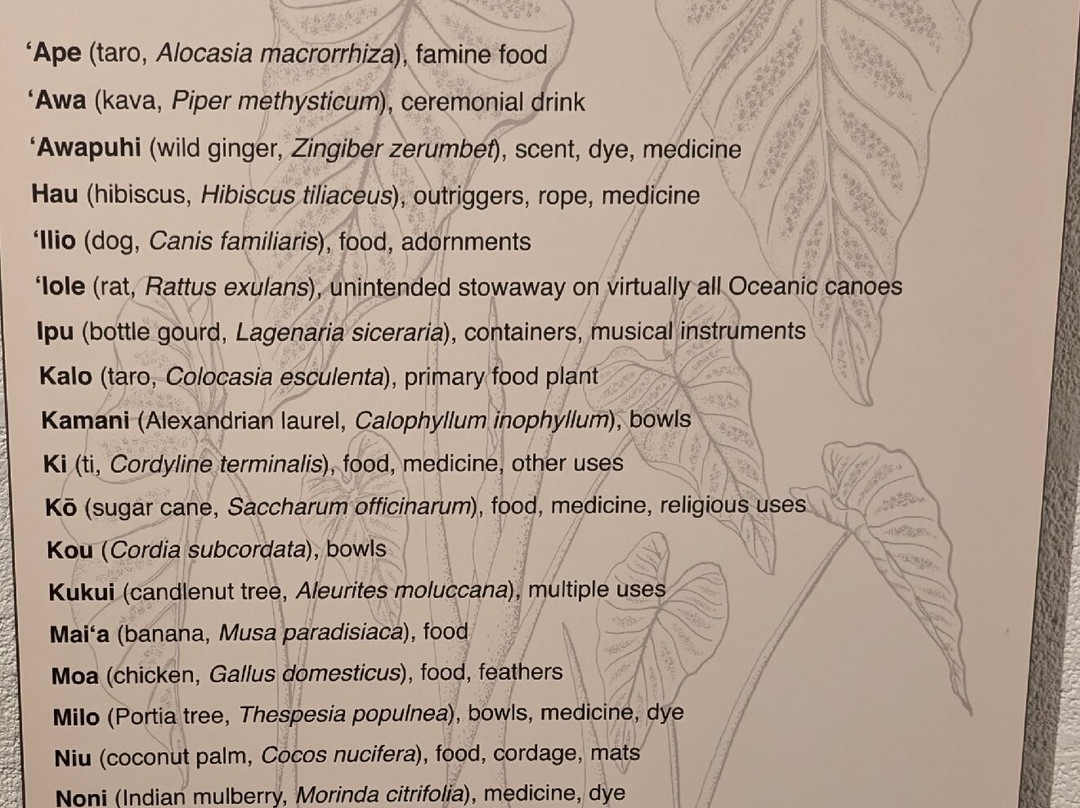 莱曼众议院纪念馆-希洛必去景点