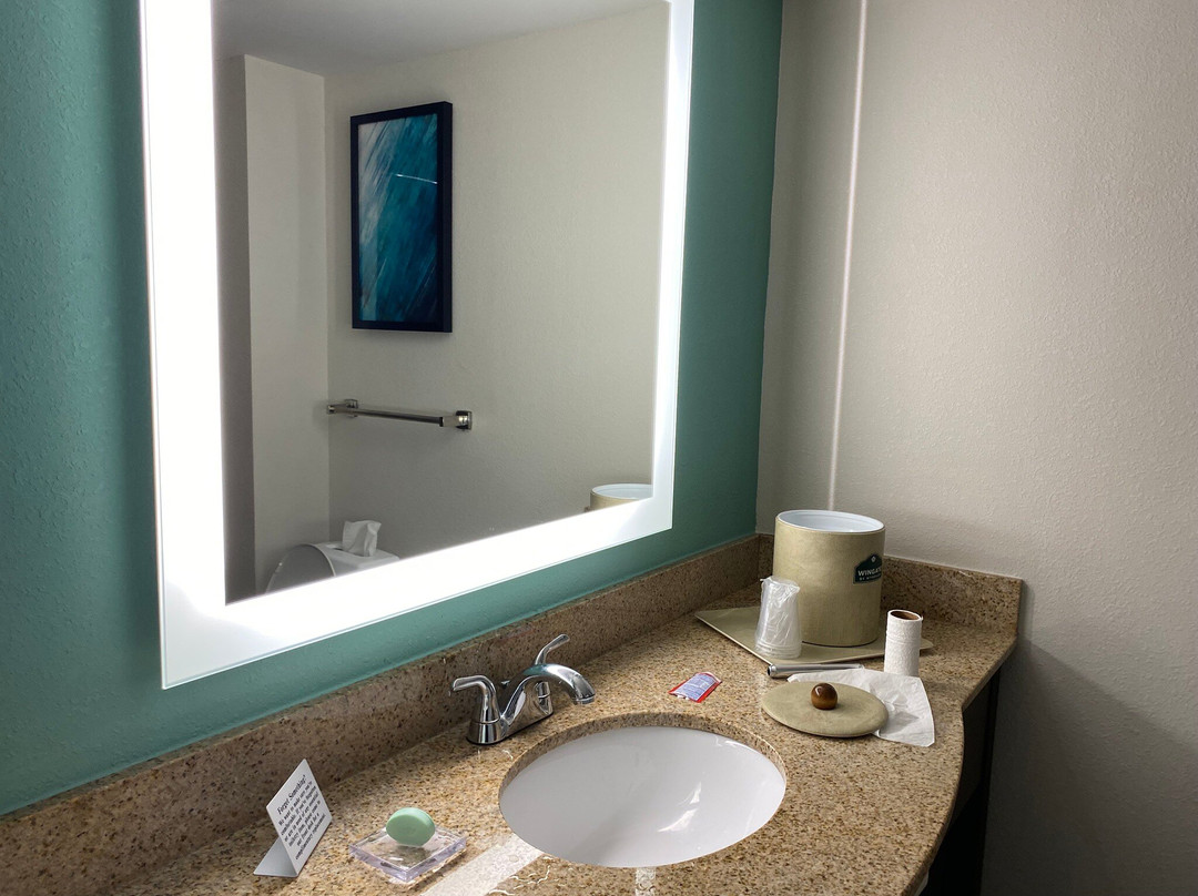 辛辛那提机场/厄兰格温盖特温德姆酒店主图