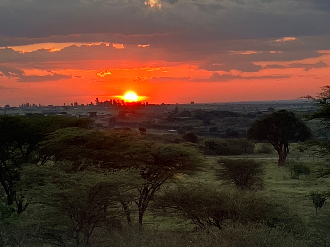 Semadep Safari Camp-纳罗克必去景点