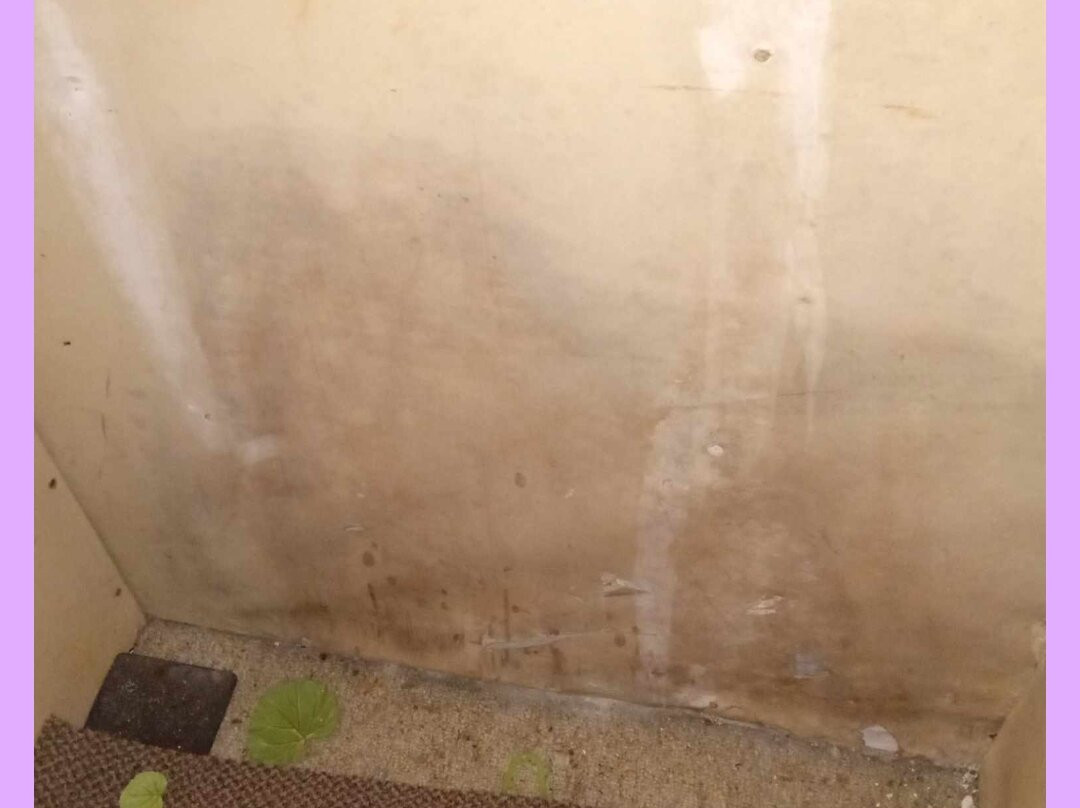 Lakewoods Resort主图