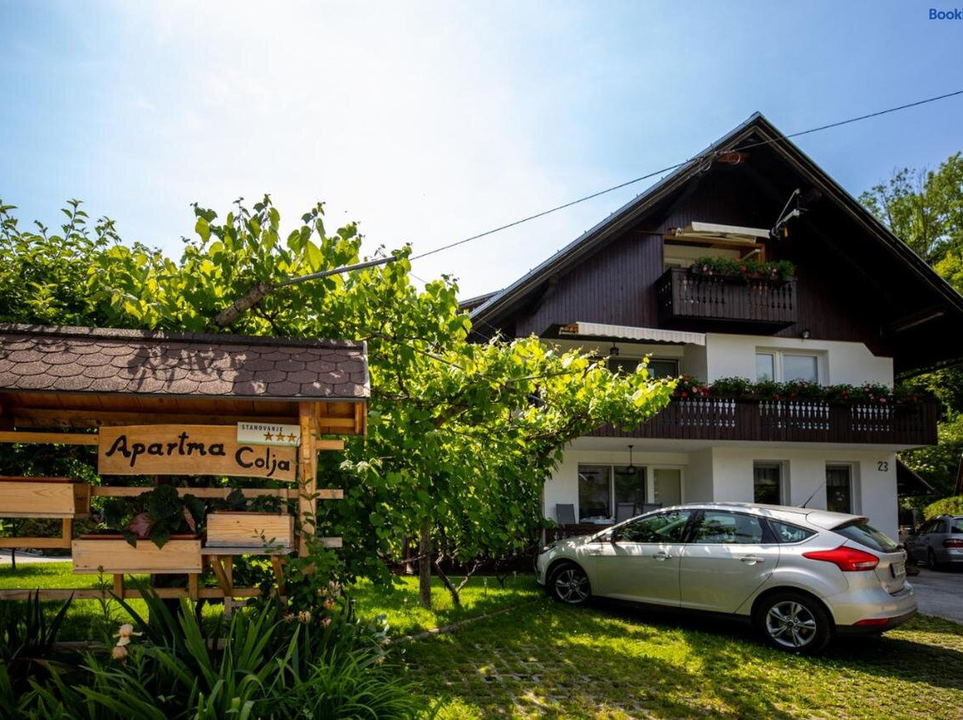 Apartmaji Colja