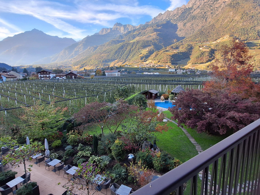 Hotel Wiesenhof主图