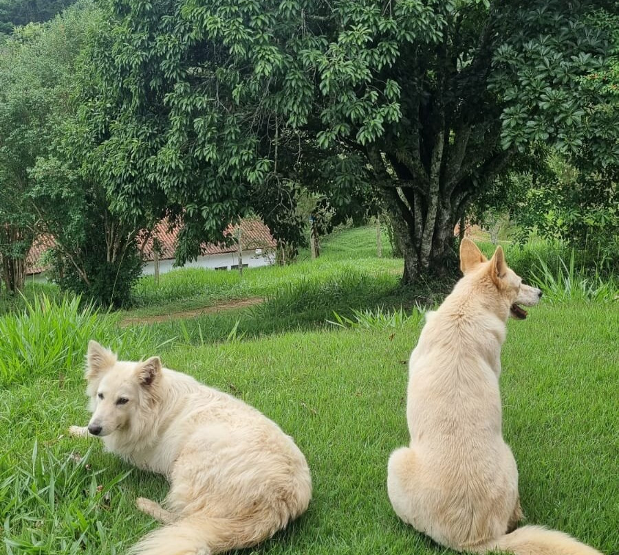 Sítio Matão-圣安东尼奥杜皮尼亚尔必去景点