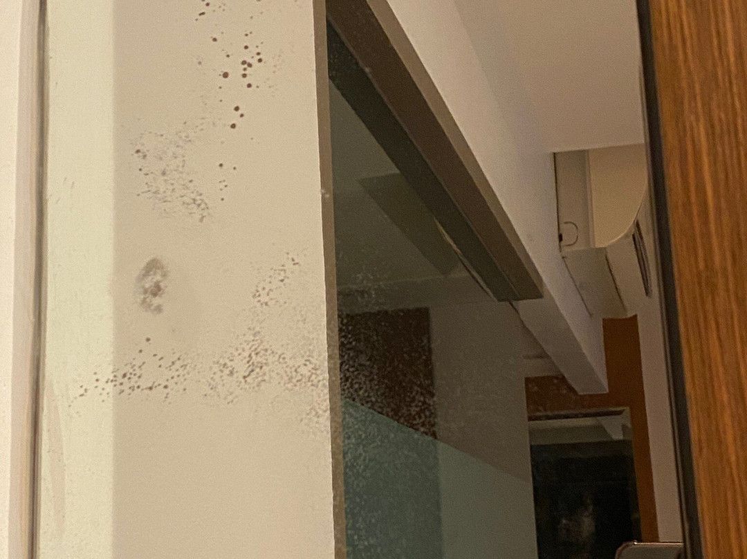 麦摩度假村主图