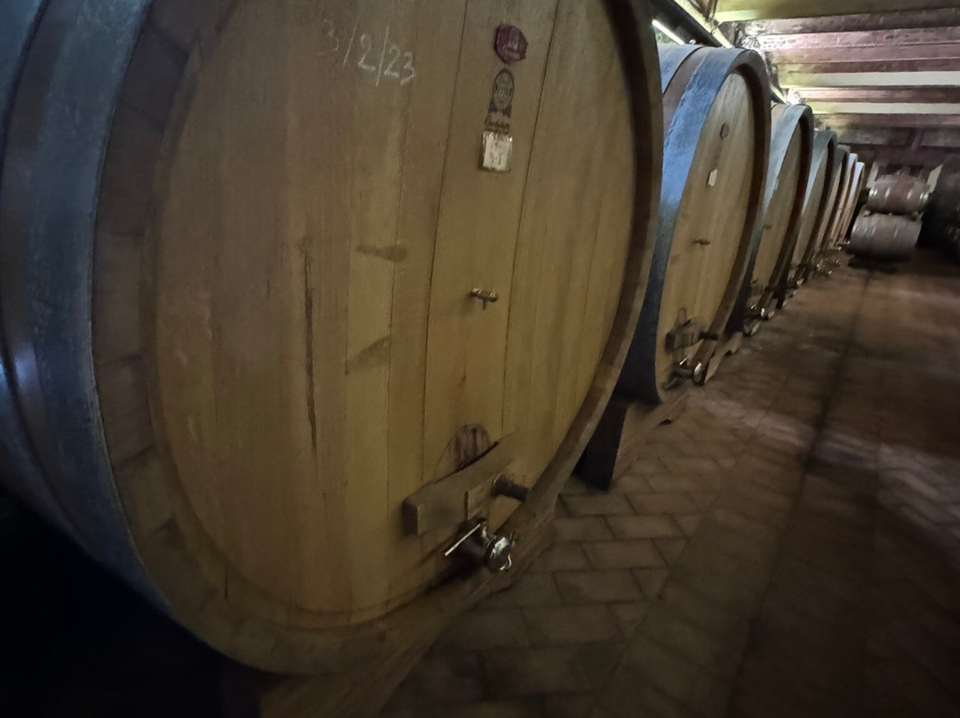 Scenic wine tours in Tuscany景点图片