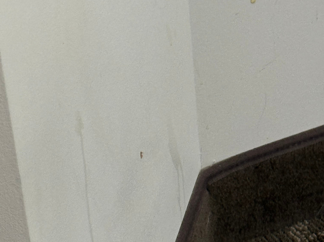 Charlevoix Inn & Suites SureStay Collection by Best Western主图