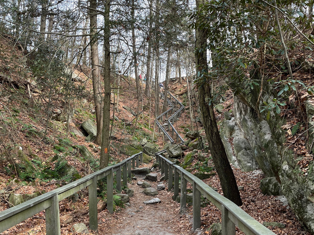 Hawk Mountain Sanctuary景点图片