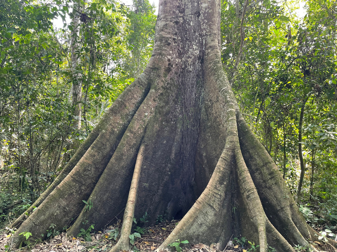 Jungle Jim Tours-伊基托斯必去景点
