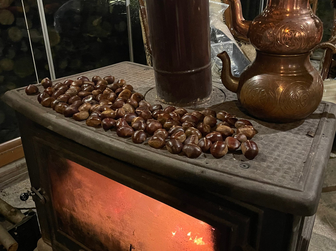 Şerbetçi Garden Konak主图